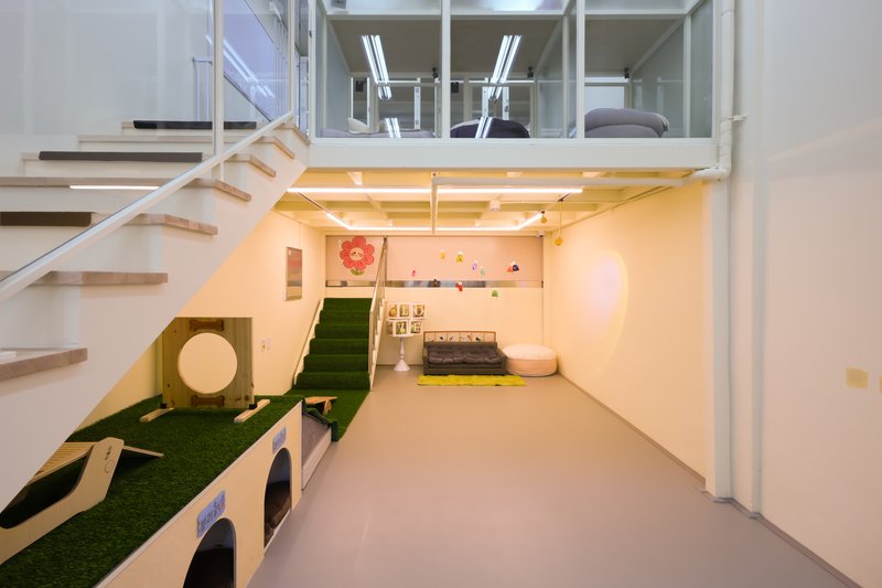 여기는 펫프렌들리 카페입니다